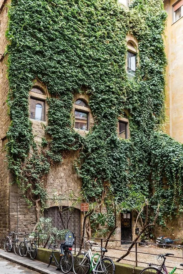 Belfredelli Apartments Florence 0*,